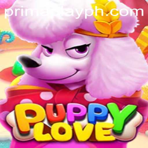 Discover the Joy of 